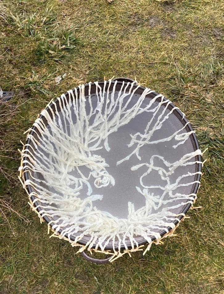 Testování biomateriálů